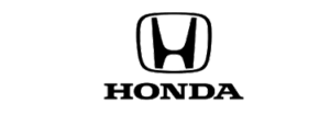 logo 20
